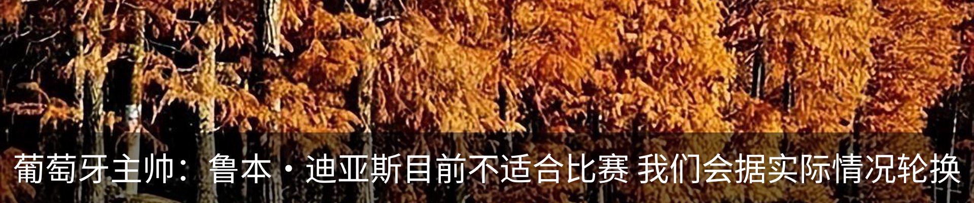 新闻中心